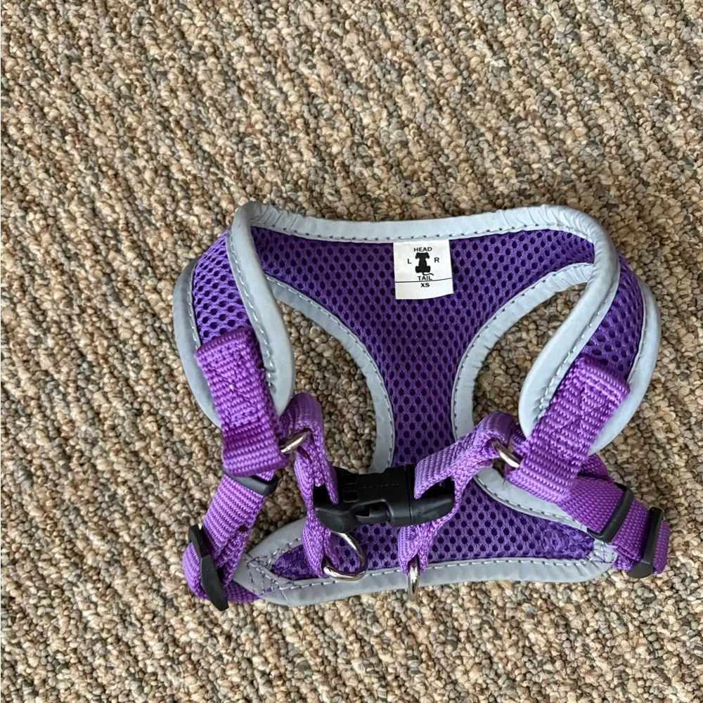 Coastal Purple Mesh Dog Harness